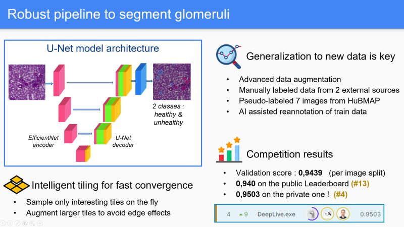 Github Optimox Hubmap Kaggle Hubmap - Download Ultra HD Vintage Image | Desktop