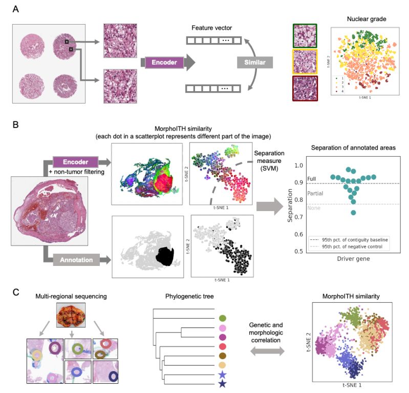 Rajaram Lab Github - Best Colorful Wallpapers in High Resolution