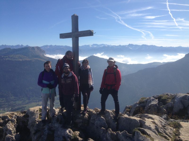 Smodels Smodels Wiki - Download Creative Nature Pattern | HD