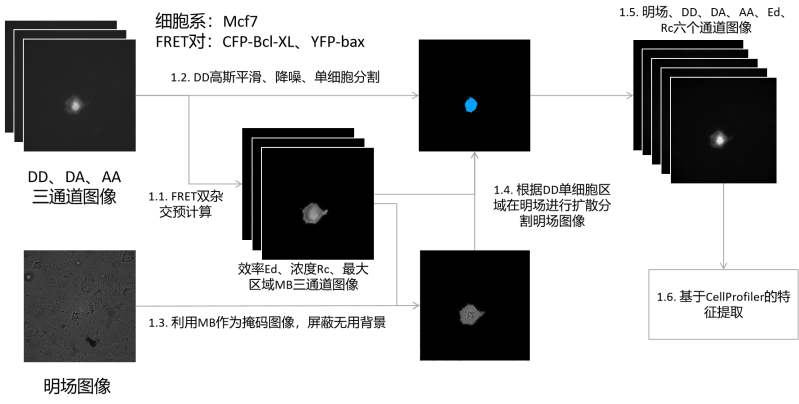 Github Smallstepsdaily Cellprofiler Ml Model Cellprofiler - Premium Landscape Background Gallery - Retina
