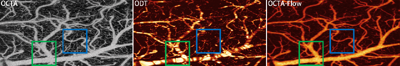 Github Cherishleon Cvpr25 Medical Paper - Premium Gradient Image Gallery - HD