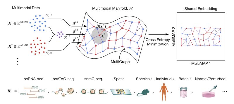 Github Teichlab Multimap Multimap For Integration Of Single Cell - Download Premium Colorful Texture | Full HD