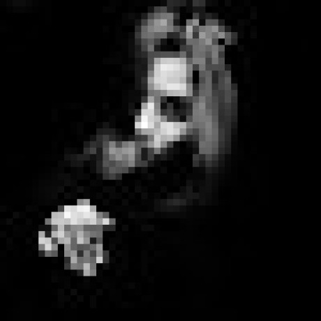 Vetkastar Robot Api Reference - Desktop Light Photos for Desktop