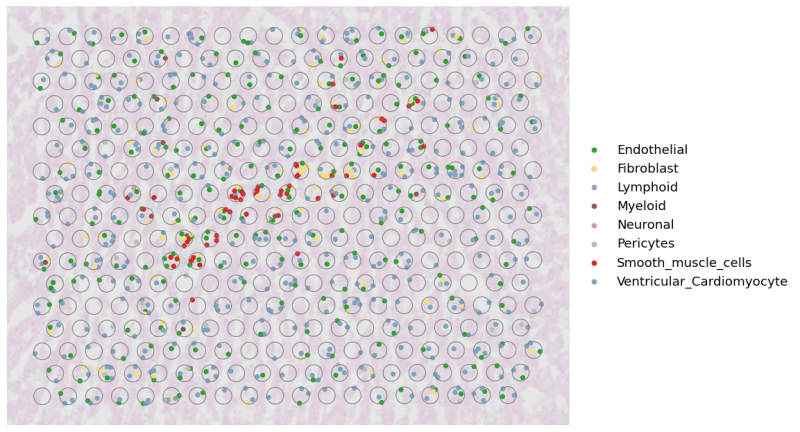 Github Yanglabhkust Spatialscope A Unified Approach For Integrating Spatial And Single Cell - Best Light Textures in 8K