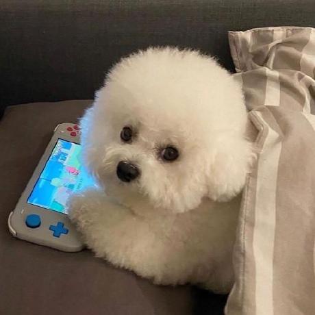 Chien Dang Github - Vintage Pictures - Professional 4K Collection