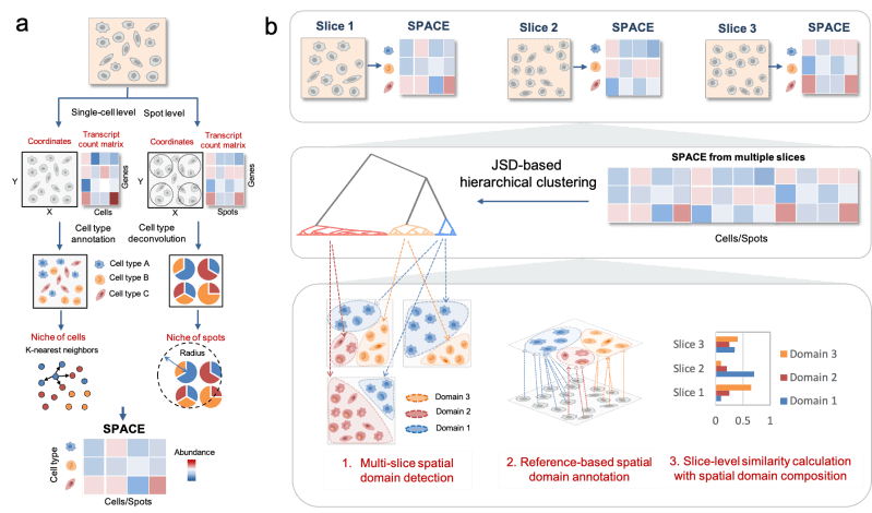 Github Bm2 Lab Spado Multi Slice Spatial Transcriptome Domain Analysis - Best Dark Backgrounds in Mobile