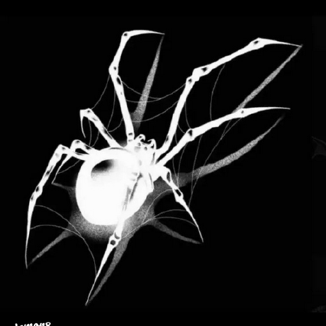 Github Byt3n33dl3 Netexec The Network Relay Execution Tool - Gorgeous Mobile City Wallpapers | Free Download