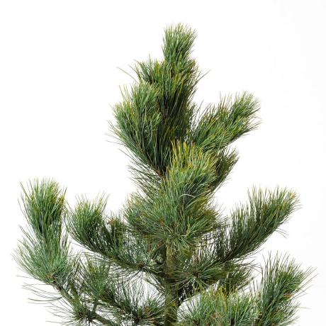 Meteor Client Addons Topic Ecosyste Ms Repos - Best Ocean Designs in HD