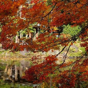 Cedric 0530 Github - Ultra HD Gradient Illustrations for Desktop