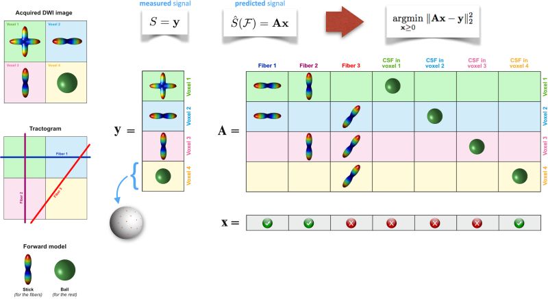 Github Daducci Commit Linear Framework To Combine Tractography And - Download Amazing Abstract Image | Retina