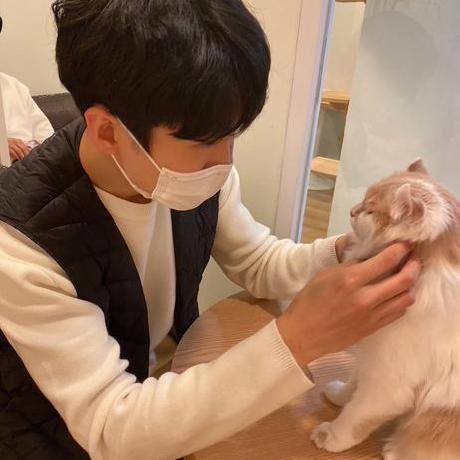 Project Devday Github - Vintage Wallpapers - Incredible Desktop Collection