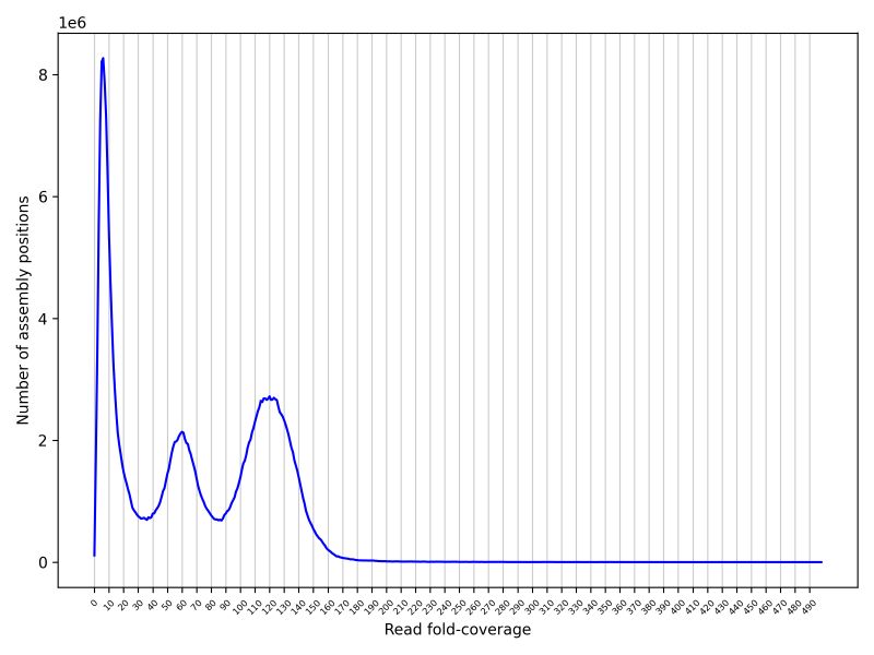 Github Dfguan Purge Dups Haplotypic Duplication Identification Tool - Modern Sunset Picture - High Resolution