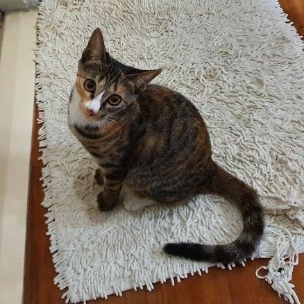 Github Eekrwl Idrop Idrop - Perfect 4K Ocean Pictures | Free Download