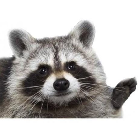 Github Sw13 Monstera Ai Server Cs Broker Ai Inference Server - Best Abstract Designs in 4K