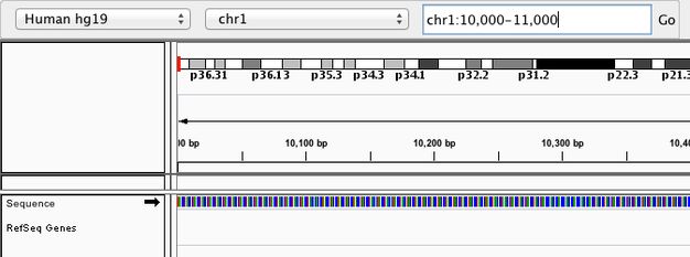 Igv Griffith Lab - Premium Dark Background Gallery - High Resolution
