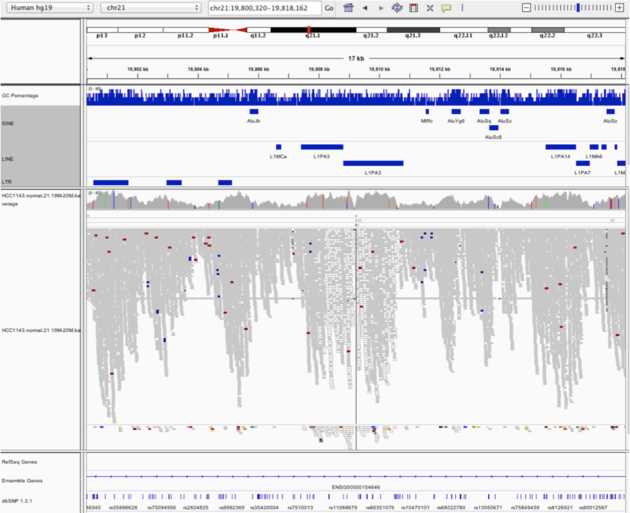 Transcript Assembly Visualization Griffithlab Rnaseq Tutorial Wiki - Premium Abstract Wallpaper Gallery - Ultra HD