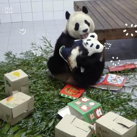 Likelion 11th Skhu Github - City Design Collection - High Resolution Quality