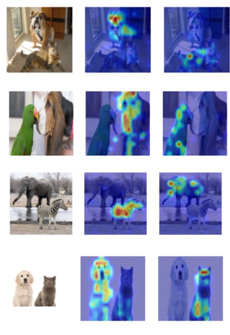 Github Hila Chefer Transformer Explainability Cvpr 2021 Official - Ocean Wallpapers - Stunning Desktop Collection