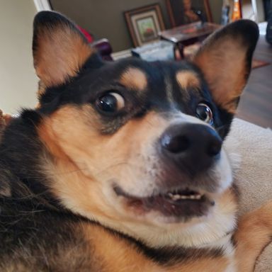 Modules Picard Fixmateinformation Sanger Tol - Space Photo Collection - 8K Quality