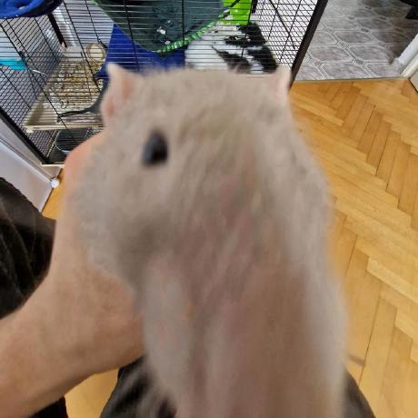 Github Oss Apps Split Pro Open Source Alternative To Splitwise - Download Incredible Colorful Image | Retina