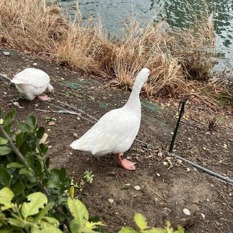 M3 Projects Github - City Design Collection - 4K Quality