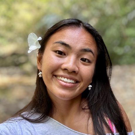 Github Stefansuess Aiya Activitiesinyourarea - Perfect Landscape Design - Desktop