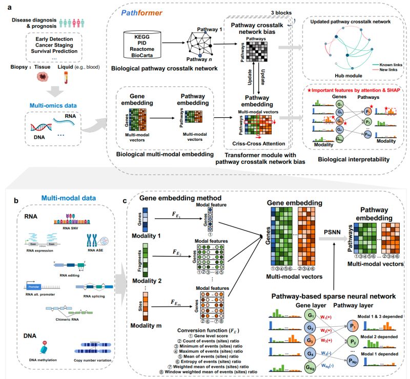 Github Lulab Oligoformer - Stunning Sunset Pattern - Desktop