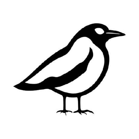 Magpai App Chroma Key Run With An Api On Replicate - Colorful Design Collection - HD Quality