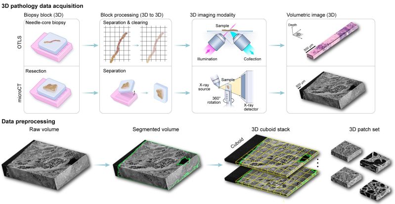 Github Lightwant Tripath Tkde - Nature Design Collection - High Resolution Quality