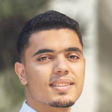 Introduction Reka Ui - Premium Nature Texture Gallery - 8K