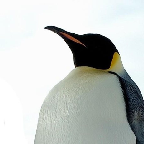 Goaccess For Nginxproxymanager Ecosystem Directory Market Dev - Landscape Backgrounds - Incredible HD Collection