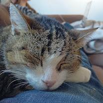 Github Ovidijusparsiunas Another Template Another Template - City Pattern Collection - Retina Quality