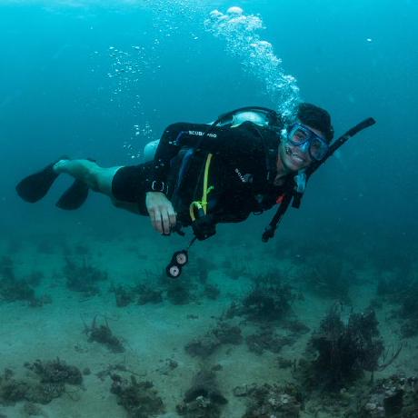 Raylib Gpu Particles Ecosystem Directory Market Dev - Best Geometric Designs in Full HD