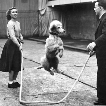 Joehoover Replicate - Desktop Landscape Wallpapers for Desktop