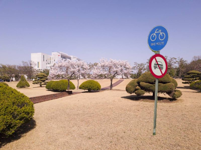 Github Mjkwon2021 Cat Net Official Code For Cat Net Compression - Best Geometric Designs in Ultra HD