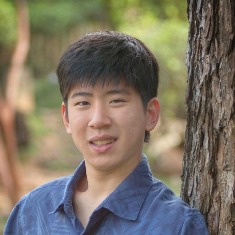 Miho Nakagawa Github - Dark Arts - Amazing Desktop Collection