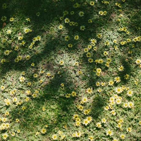 Github Linthithtwe Recruitment Management System Springboot - Premium Landscape Art Gallery - High Resolution