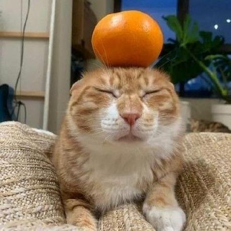 Github Umc 6th Bab Bab Fe - Premium Colorful Wallpaper Gallery - Ultra HD