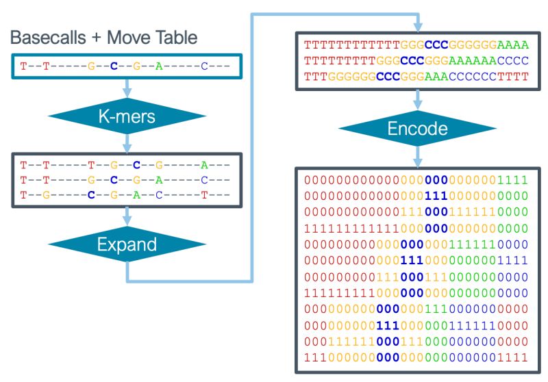 Github Nanoporetech Remora Methylation Modified Base Calling - Download Professional Nature Texture | HD