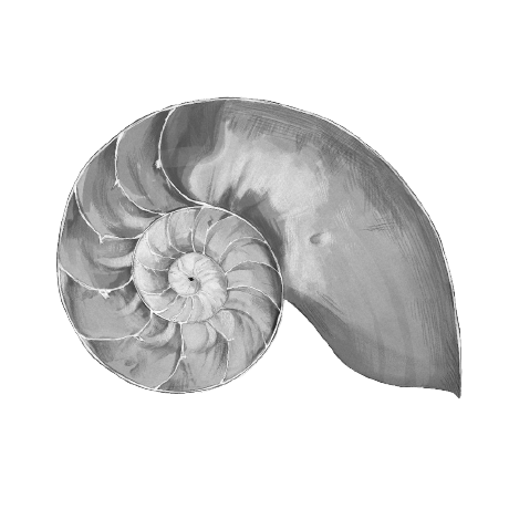 Github Oecu Kozaki Lab Wikidatamapping Wikdiata - Stunning Light Art - 8K