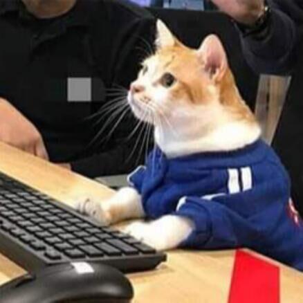 Sunmaple Is Contributing - 8K Ocean Designs for Desktop