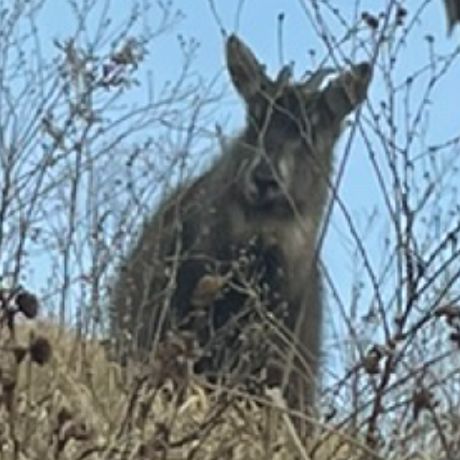 Pue Ai Chatbot Github - Download Artistic Space Background | 8K