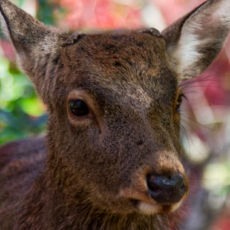 Code Question Issue 57 Suc Driverold Msst Webui Github - City Photos - Beautiful HD Collection