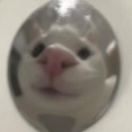 Pladi Alm Github - Premium Dark Photo Gallery - Full HD