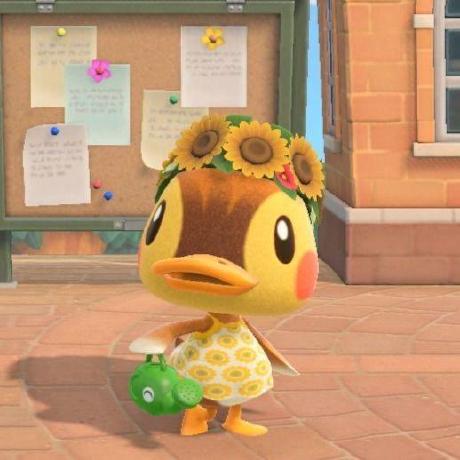 Anosu Jitsu Github - HD Landscape Designs for Desktop