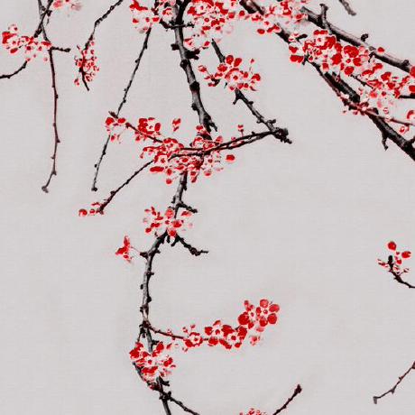 Ecosyste Ms Timeline - 4K Minimal Photos for Desktop