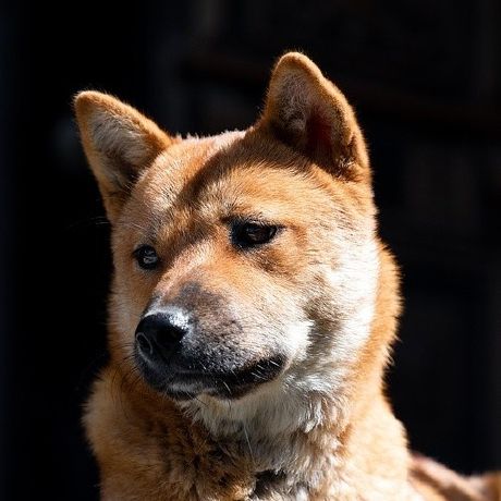 Github Umc Hearthub Hearthub Server Hearthub Server Springboot - Download Incredible Gradient Art | Full HD