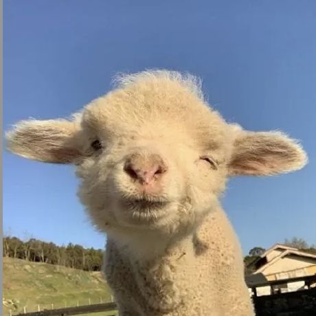 Woohaengshi Github - Ocean Photos - Incredible Ultra HD Collection