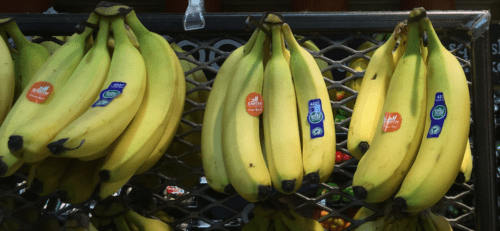 Bananas scaled